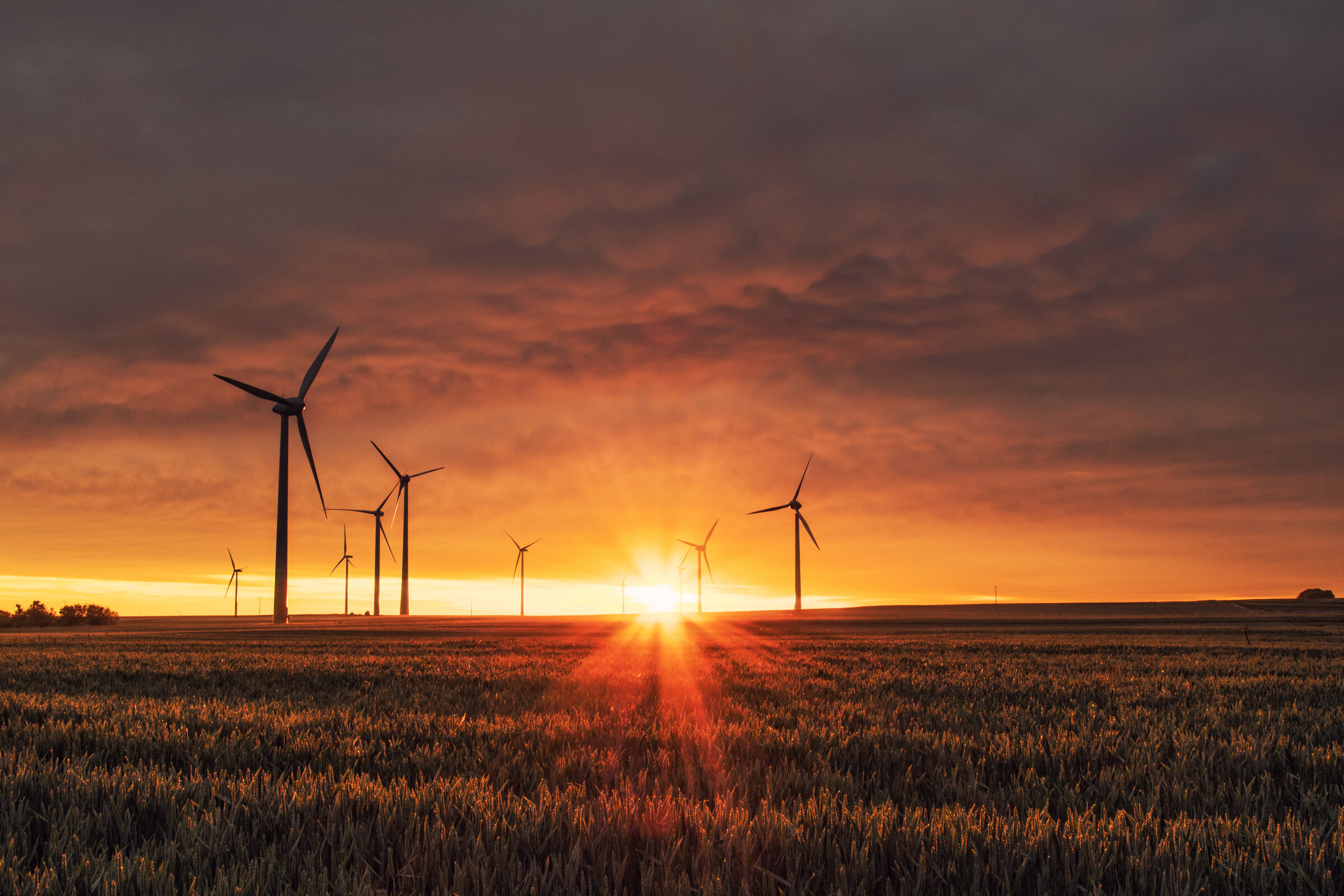 Wind turbines in a sunrise landscape